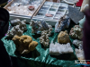 1346img_1220