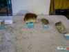 1355img_1252