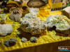 1403img_1268