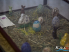 1822img_7336_wynik