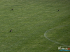 1559img_8890