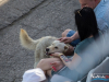 1644img_8935