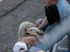 1644img_8937