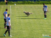 1645img_8939
