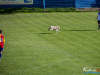 1645img_8948