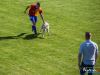 1646img_8952