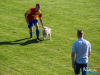 1646img_8953