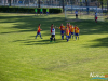 1724img_8981