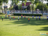 1735img_8985