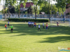 1736img_8997