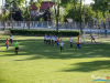 1736img_8998