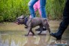 1324IMG_2945