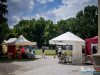 1243img_4738_06_19_2016