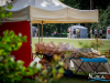 1243img_4739_06_19_2016