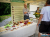 1249img_4789_06_19_2016