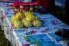 HMIMG_0881