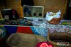 HMIMG_0940