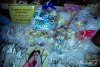 HMIMG_0954