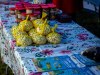 HMIMG_0881