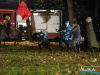 1641img_3740
