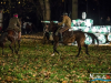 1653img_3827