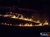 1657img_3904