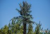 1133IMG_9044