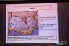 1901IMG_1104