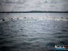 1003img_6300_07_24_2016