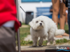 1029img_4677