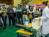 1154img_8388_04_07_2016