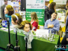 1211img_8549_04_07_2016
