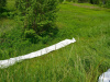 61182702_903108363359607_6442379922420793344_o_wynik