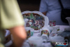 1250IMG_0613_wynik