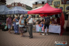 1253IMG_0625_wynik