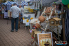 1306IMG_0666_wynik