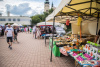 1541IMG_3490_wynik