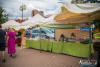 1544IMG_3537_wynik