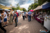 1545IMG_3545_wynik