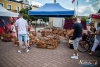 1458IMG_9966_wynik