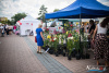 1458IMG_9972_wynik