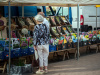 1447IMG_9834_wynik