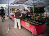 1448IMG_9845_wynik