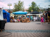 1452IMG_9898_wynik