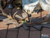 1654img_8083