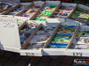 1655img_8086