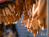 1656img_8101