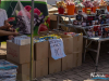 1657img_8104