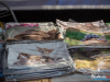 1700img_8136