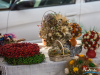 1704img_8169